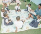 Erindale Schools