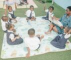 Erindale Schools